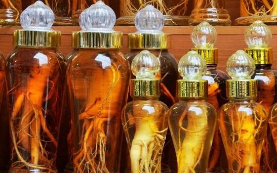 Ginseng